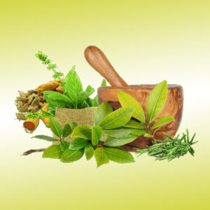Best Ayurvedic Third Party Manufacturing Company In India