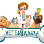 Best Veterinary PCD Pharma Company In Haryana