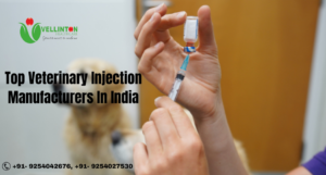<a href="https://vellintonhealthcare.in/blog/best-veterinary-injection-manufacturers-in-india">veterinary injection manufacturer in India</a>