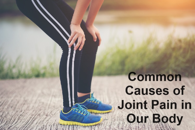 the best doctor for joint pain in Delhi