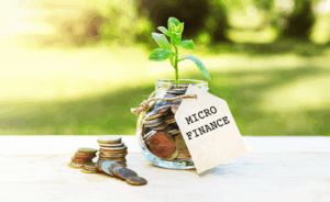 micro loans