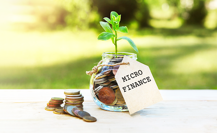 micro loans