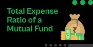 Total Expense Ratio