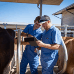 veterinary medicine company in India