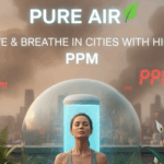 buy plants online in Delhi